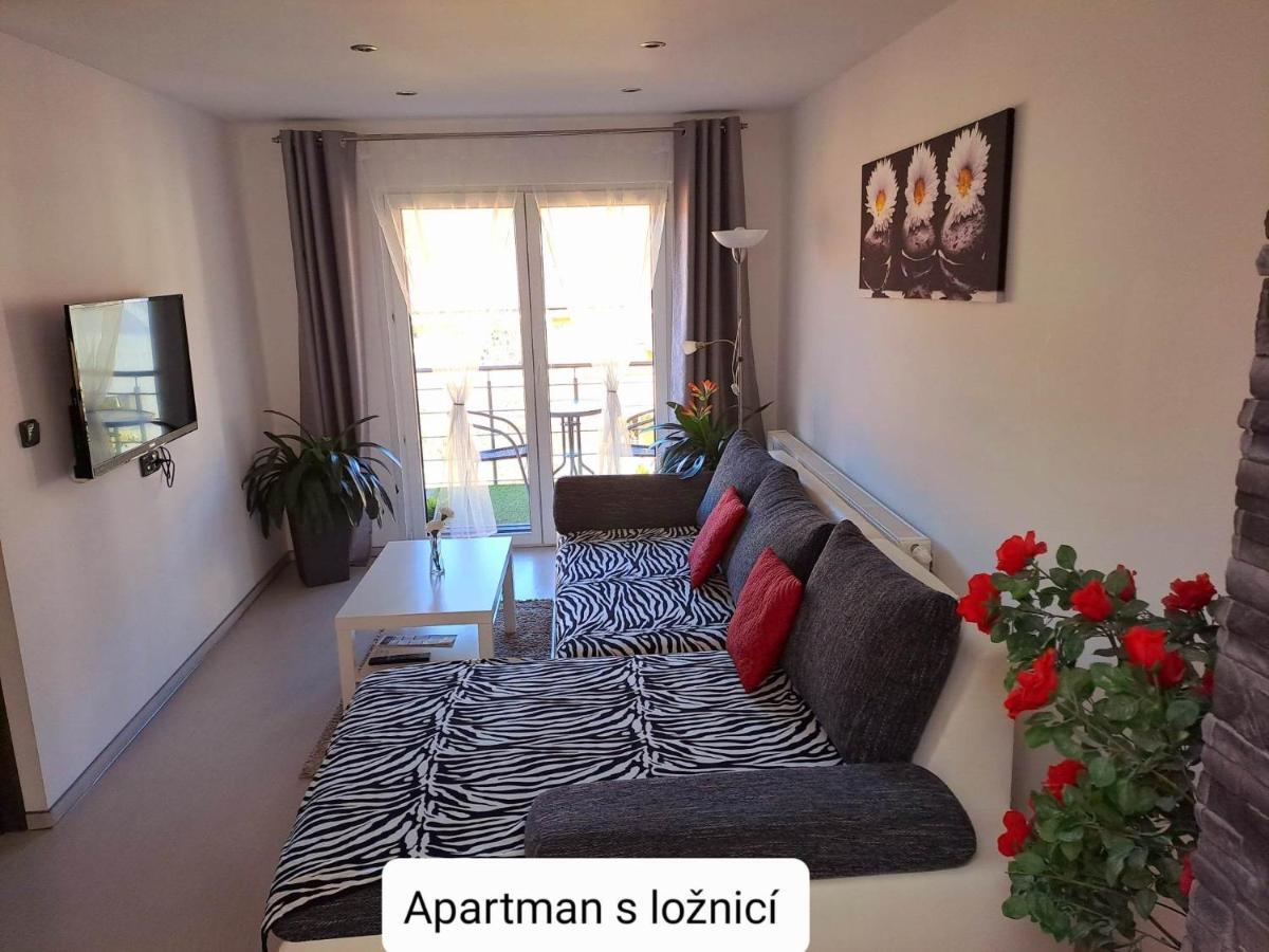 Dum Tamara Apartment Luhacovice Exterior photo
