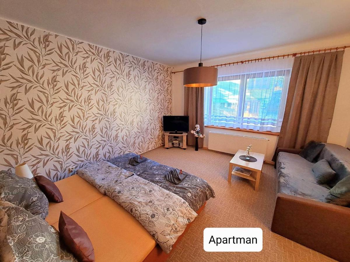 Dum Tamara Apartment Luhacovice Exterior photo