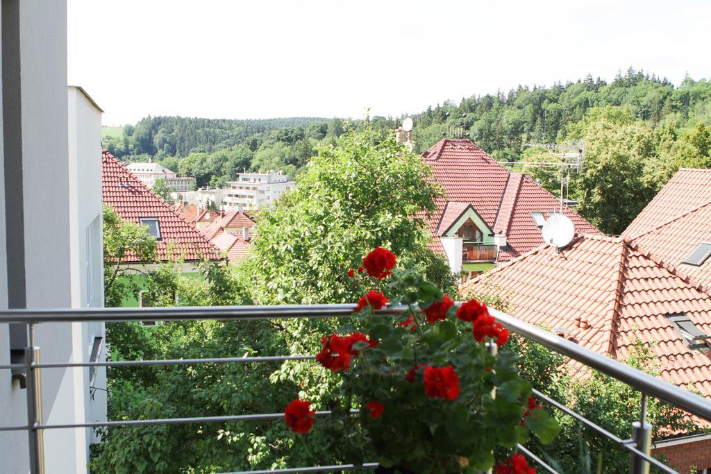 Dum Tamara Apartment Luhacovice Room photo